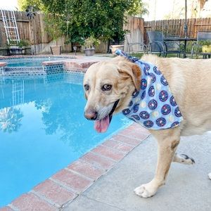 KW Bandanas Snooy Bandana